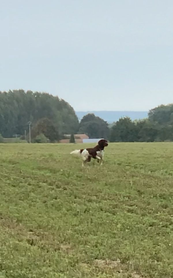 Du champ lien R'mione
